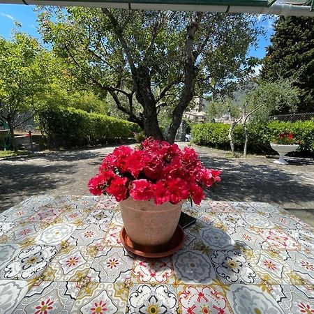 Rosy Apartment - Levanto, 5 Terre מראה חיצוני תמונה