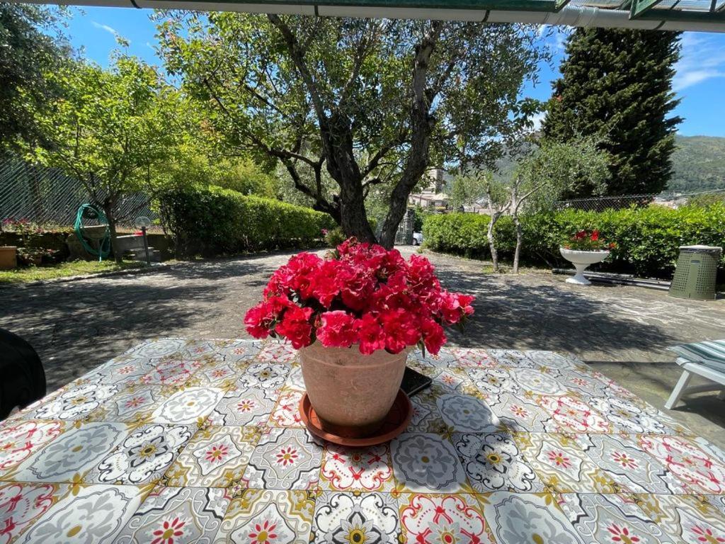 Rosy Apartment - Levanto, 5 Terre מראה חיצוני תמונה